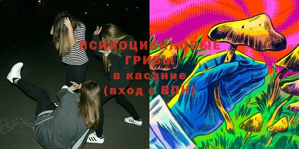 PSILOCYBIN Абаза