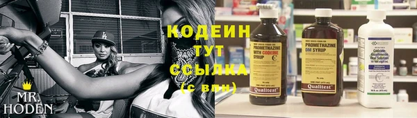 индика Абдулино