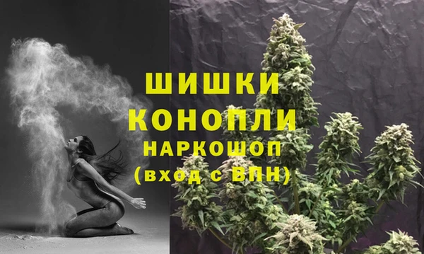 PSILOCYBIN Абаза