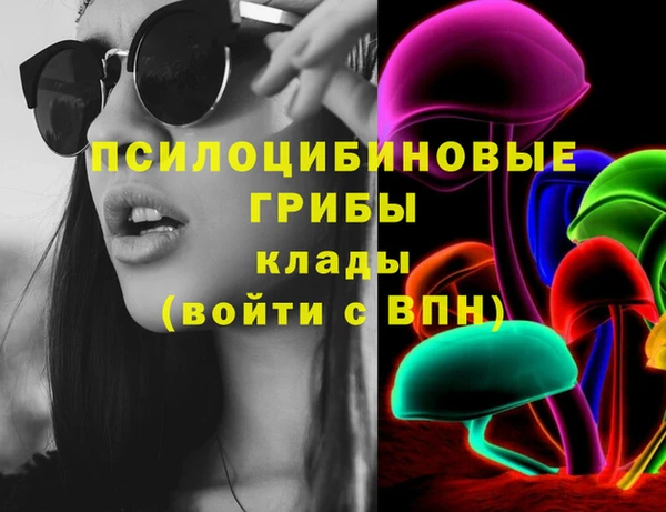 индика Абдулино