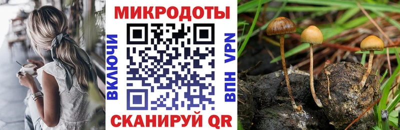 Псилоцибиновые грибы мухоморы  Иланский 